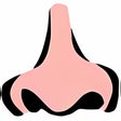 Icon of program: Web Application/Tool Snif…