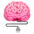 Icoon van programma: Factual Quiz 2020: Challe…