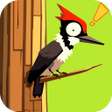 Icoon van programma: Endless Woodpecker