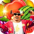 Programikonen: Fruit King Slots
