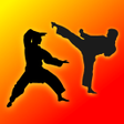Ícone do programa: Learn Kung Fu