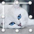 プログラムのアイコン：Kitty Cat Pattern Lock Sc…