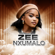 Иконка программы: Zee Nxumalo All Songs