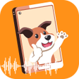 Иконка программы: Dog Translator