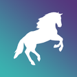 Icon of program: HorseWinner 马王: Race Resu…