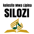 Icon of program: Silozi SDA Hymnal and Bib…