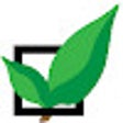 Nurture icon