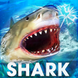 Programikonen: Real Shark Life - Shark S…