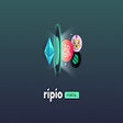 Programikonen: Ripio Portal