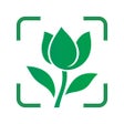 Ikon program: Plant Identification Diag…