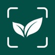 أيقونة البرنامج: Plant Identification Diag…