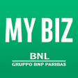 程序图标：MY BIZ
