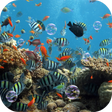 Programikonen: Aquarium Live Wallpaper
