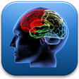 أيقونة البرنامج: IQ Test (intelligence)