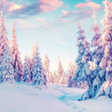 Programikonen: Winter Wallpaper