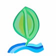 Icoon van programma: water the mint plant