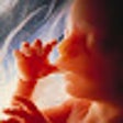 Change "Pro-Choice" to "Pro-Abortion" icon