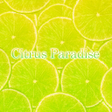 Programikonen: Lemone Theme-Citrus Parad…