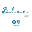Programikonen: BlueApp BCBSU