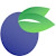 أيقونة البرنامج: Berry MVP FreshDirect