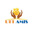 Programın simgesi: UTT AMIS