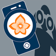 Icon of program: Flora Capture