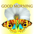Programikonen: Good Morning Messages