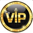程序图标：VIP INCOME