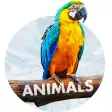 Wallpapers with Animals in 4K