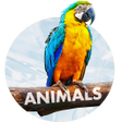 Programikonen: Wallpapers with Animals i…