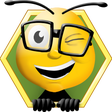 Programikonen: BeeNerd