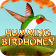 プログラムのアイコン：Humming Bird Honey