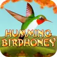 Humming Bird Honey