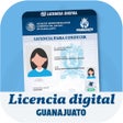 Ícone do programa: LICENCIA DIGITAL GTO