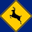 British Columbia Canada Driver Knowledge Test icon
