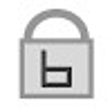 braincryption icon