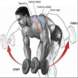 Icon of program: Gym Sports Exercise