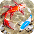 프로그램 아이콘: Fish Keyboard  3D Wallpap…