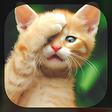 Ícone do programa: Cute Live Wallpapers