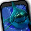 程序图标：Angry Shark Pet Cracks Sc…