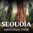 Icoon van programma: Sequoia National Park GPS…