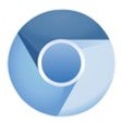 Icône du programme : Chromium