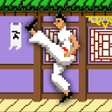 プログラムのアイコン：Master of Kung Fu