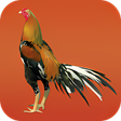 プログラムのアイコン：Gamecocks