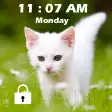 Kitty Cat Password Lock Screen 2020