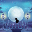 Programikonen: Mystic Night Live Wallpap…