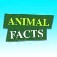Animal Facts Animal World