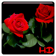 Programikonen: Red Rose APUS Live Wallpa…