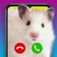 プログラムのアイコン：CallSplash