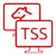 Icon of program: TSS TeamViewer launcher